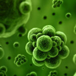 Disinfectants for Surface & Environment1